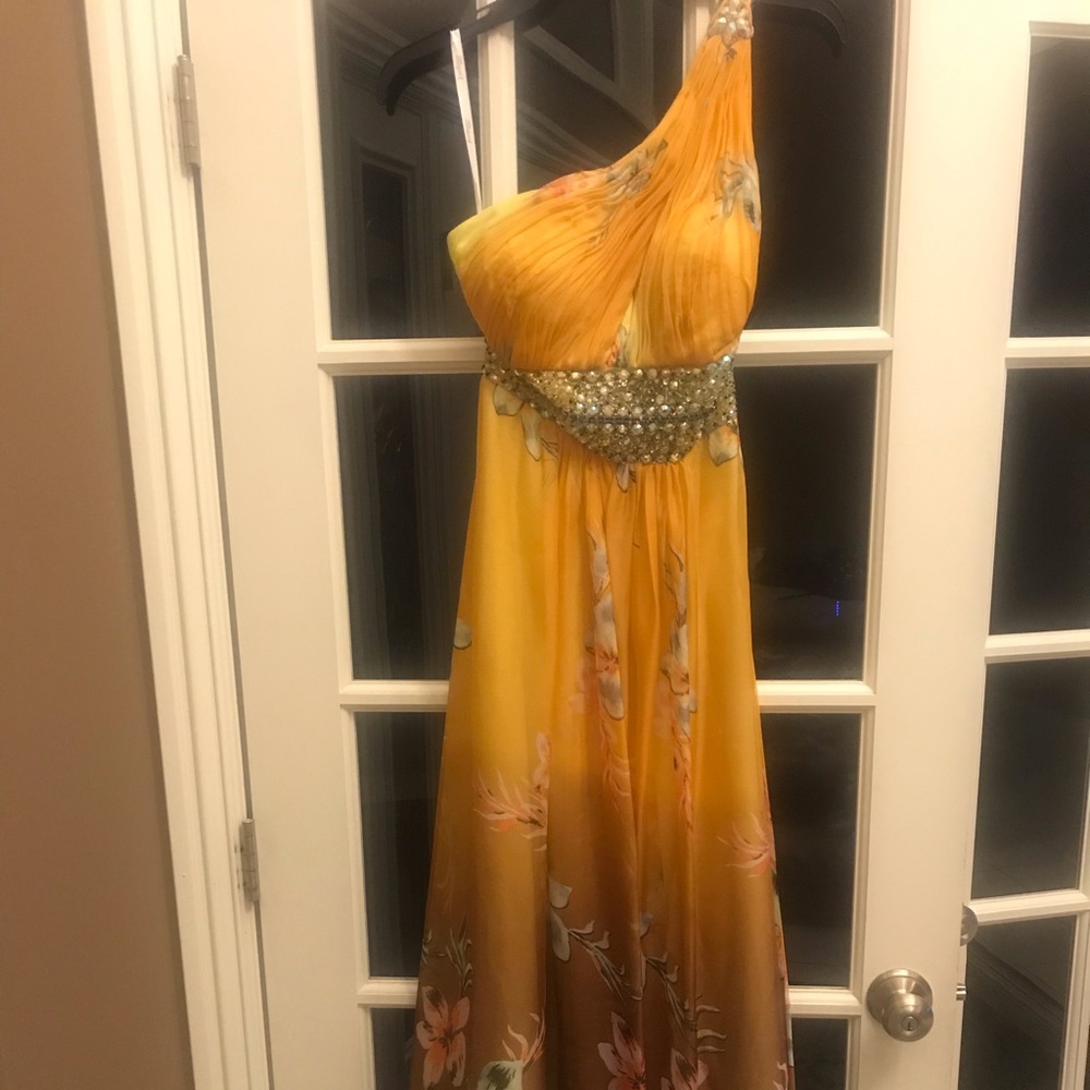 Evening Gown / Prom Dress